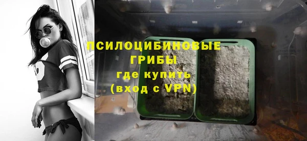 дурь Михайловск