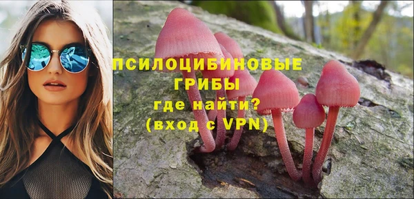 дурь Михайловск