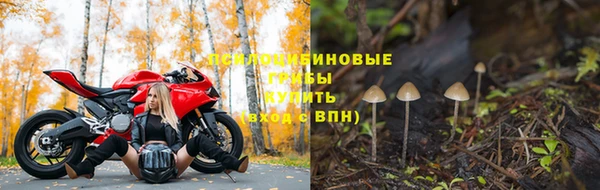 герыч Михайлов