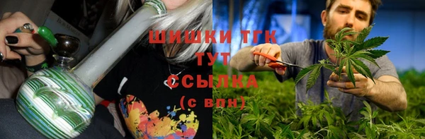 дурь Михайловск