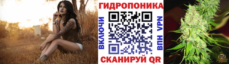 Марихуана Amnesia  Купить где  Грозный 